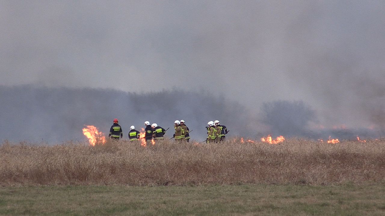 Potężny pożar łąk nadnoteckich