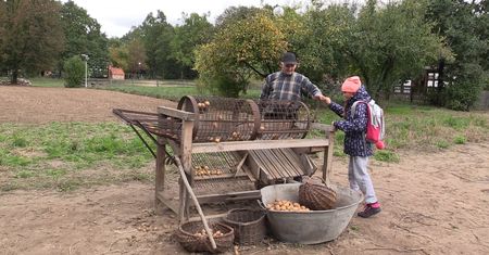 Jesień w polu i zagrodzie