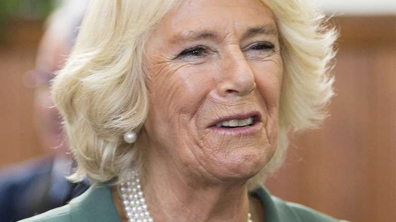 księżna Camilla - stylizacja