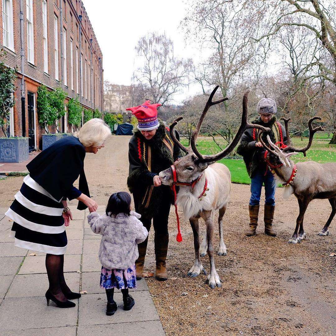 Księżna Camilla przed Calrence House