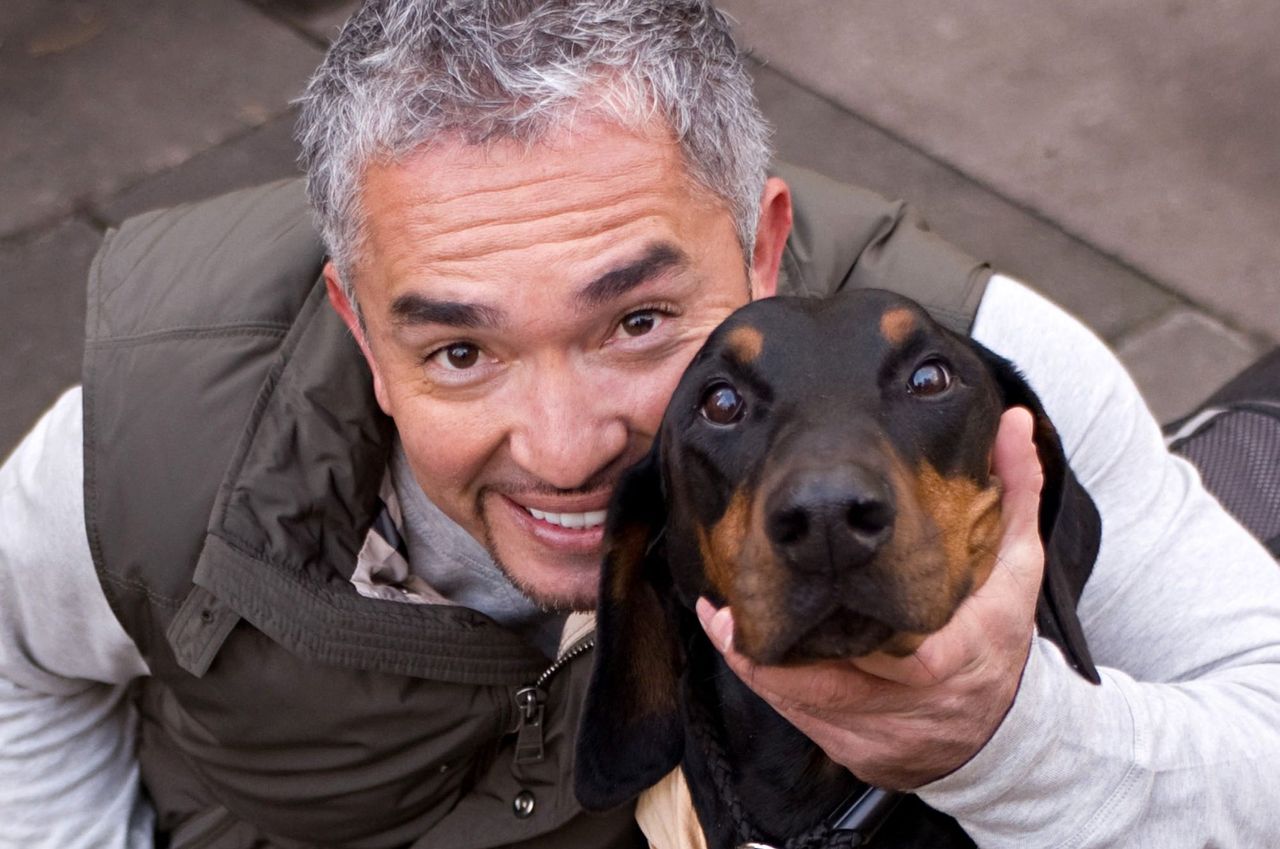 Cesar Millan: byłem bezdomny, spałem pod wiaduktem