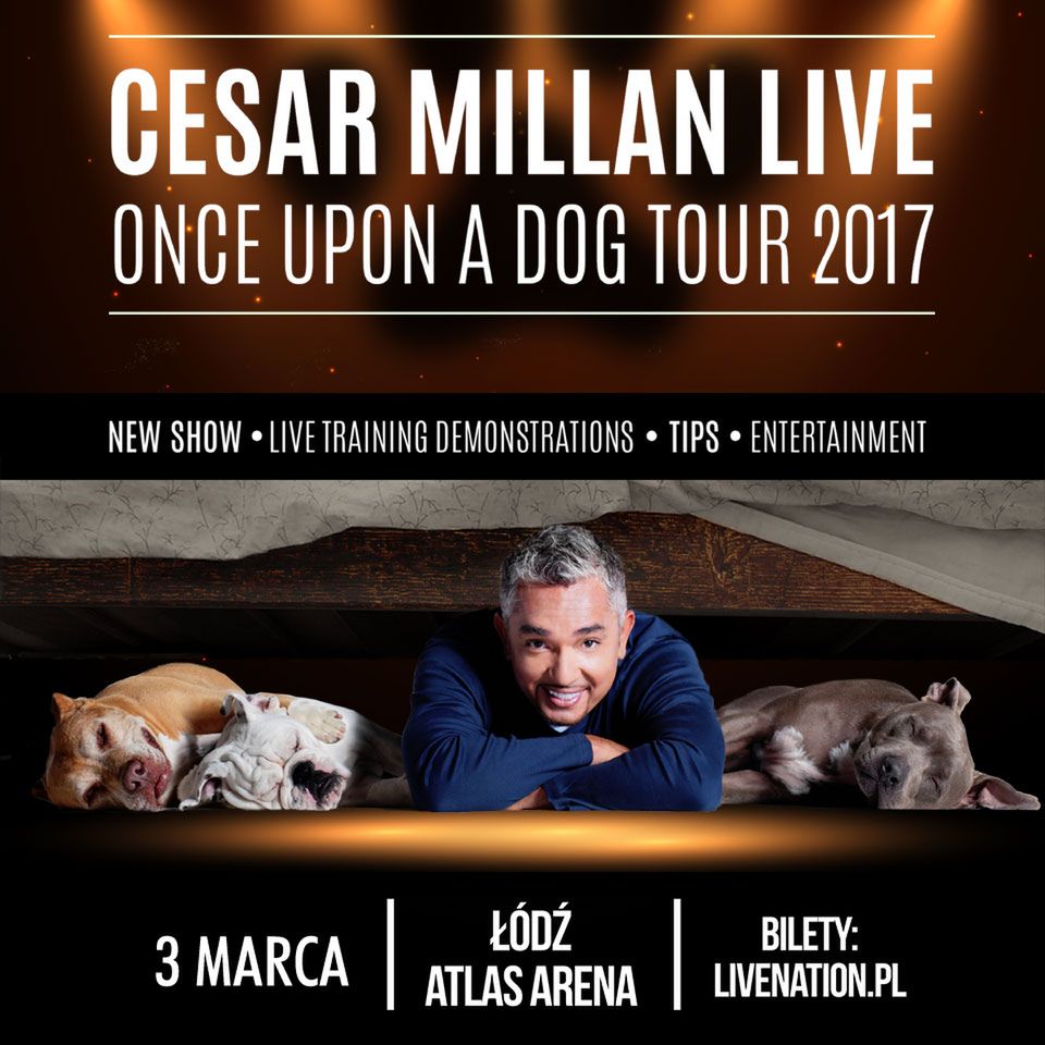 Cesar Millan z nowym show na żywo! Once upon a dog tour 2017