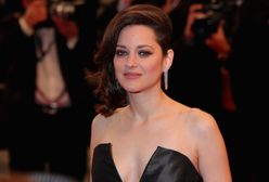 Ciężarna Marion Cotillard zaprzecza plotkom o romansie z Pittem