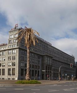 Palma na rondzie de Gaulle'a jest w opłakanym stanie. Co się stało?