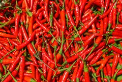 5 faktów, których nie wiecie o papryczce chilli