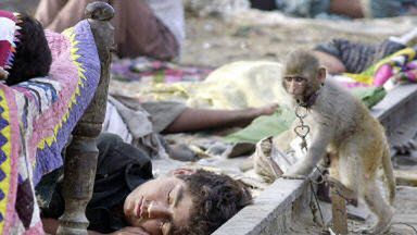 Młody Cygan śpi na torach, małpa już wypoczęta