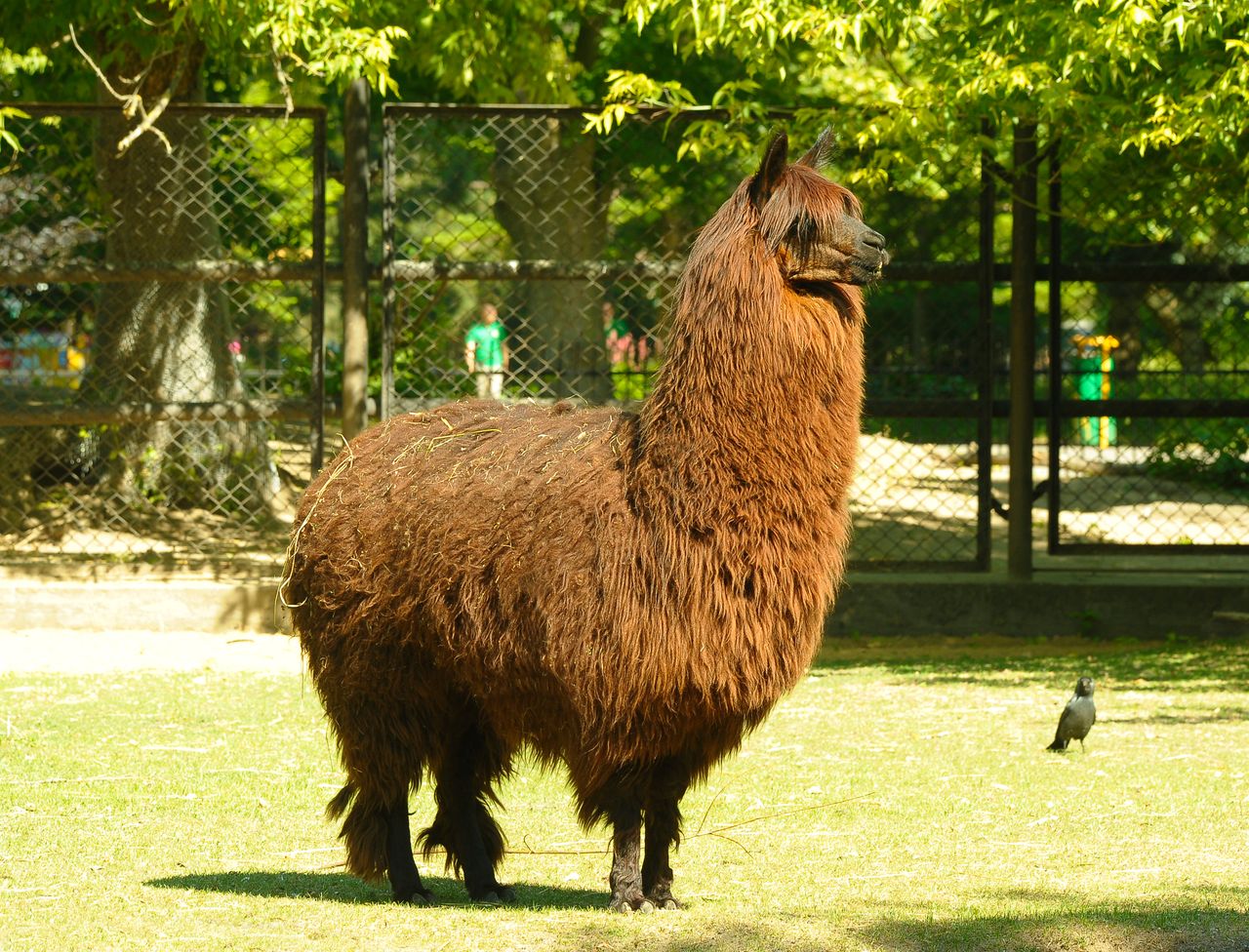 ECCO podbija stawkę dla warszawskiego ZOO - w puli 30 000 złotych za zdjęcia ze spaceru