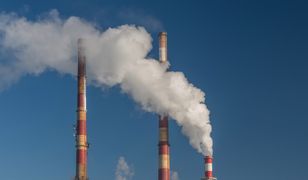 Smog: rząd przeznaczył miliard na walkę z zanieczyszczeniem powietrza