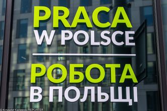 Ukraińscy informatycy traktują nas tranzytowo? Polska w tym starciu nie ma wielkich szans