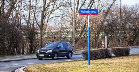 Sondaż wśród warszawiaków nt. wycinki drzew. Dbamy o przyrodę?