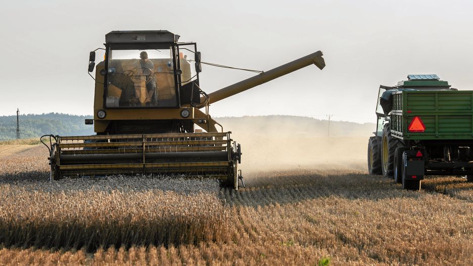 Latami truł siebie i konsumentów opryskami. Polski rolnik rekordzistą w zawartości chemii w moczu.