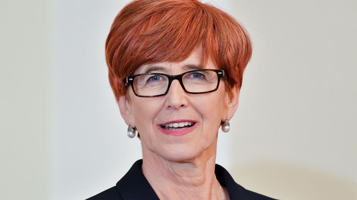 Minister rodziny i pracy Elżbieta Rafalska.