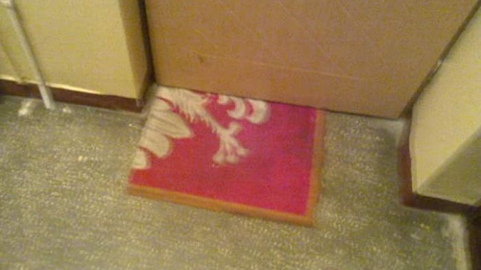 Orzełek na wycieraczce