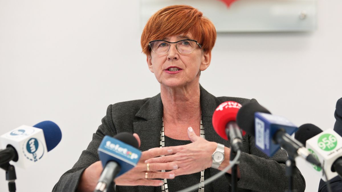 Minister Elżbieta Rafalska zaprzeczała, by upadłość małych sklepów była spowodowana wprowadzeniem zakazu handlu w niedziele