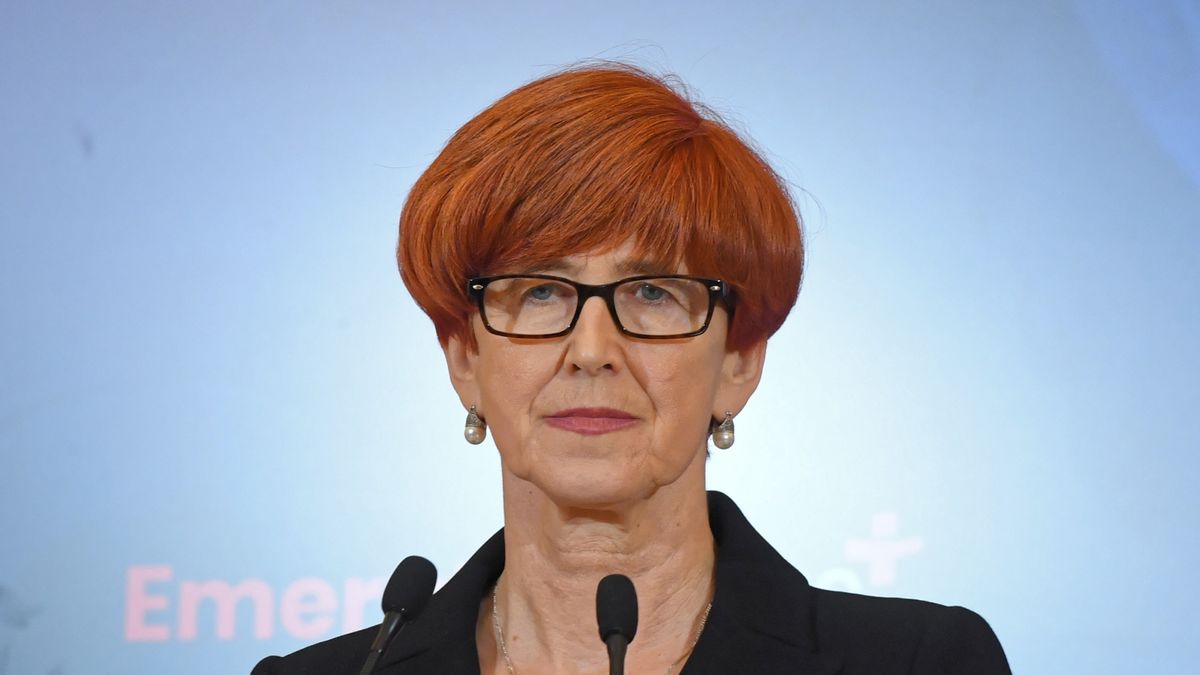 Minister Elżbieta Rafalska dziś znacznie rzadziej mówi o demograficznych efektach programu 500+.