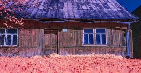 Różowa Polska. Bajkowe zdjęcia fotografa z Dąbrowy Górniczej
