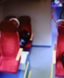 Konduktor nie wyrzucił ucznia z pociągu? Kolejarze pokazują nagranie na dowód
