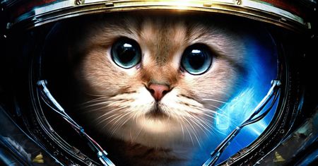 Rok temu były to tylko domysły, ale zapowiedź Starcraft HD może zmaterializować się we wrześniu
