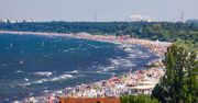 Straszą spacerujących nad Bałtykiem wyglądem i zapachem. Eksperci uspokajają