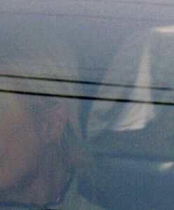 Paris Hilton ma wrócić do więzienia