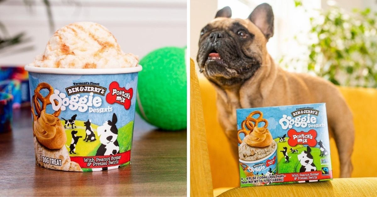 Znana na całym świecie marka lodów wypuszcza deser dla psów. Mogą jeść lody razem z właścicielami
