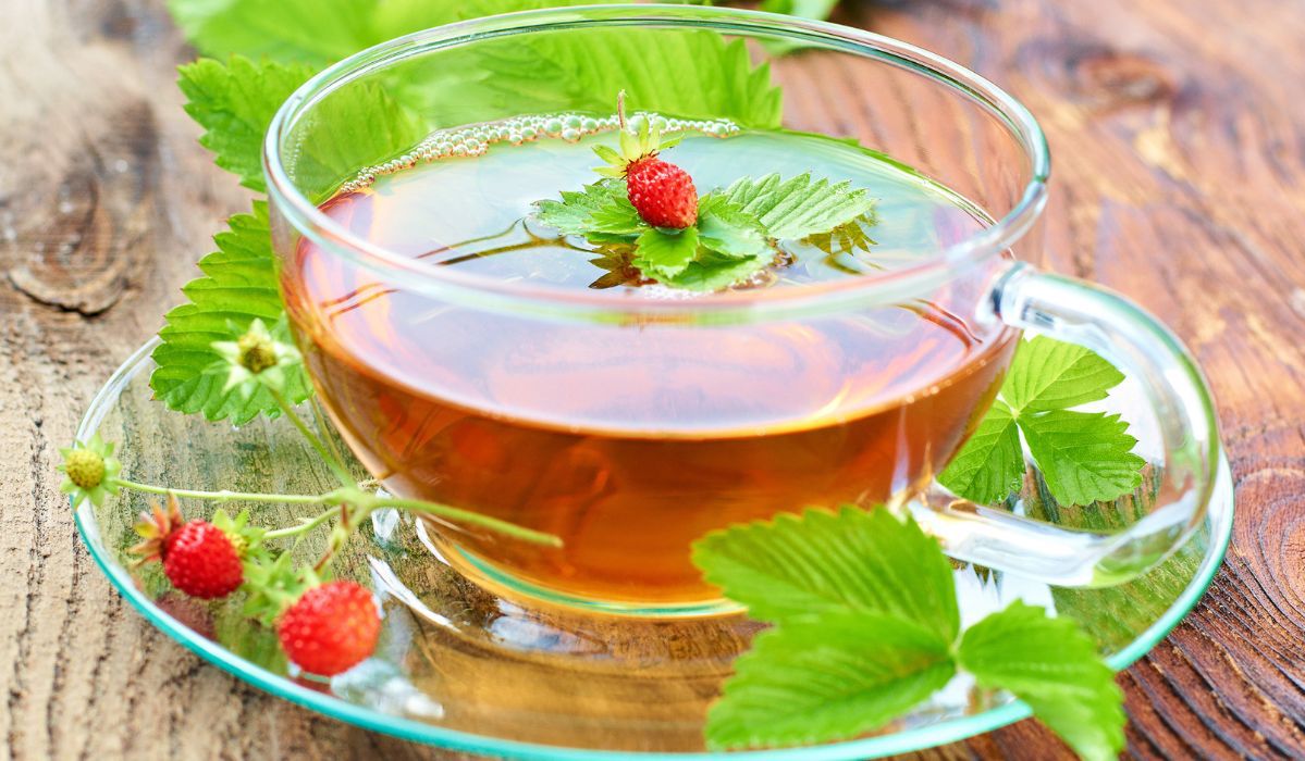 Herbata z liści poziomek idealna na odchudzanie. Pij regularnie, a efekty cię zaskoczą