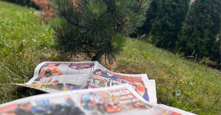 Po przeczytaniu rozłóż w ogrodzie! To tani i ekologiczny sposób na chwasty