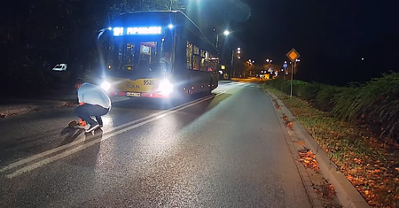 Niespotykana reakcja kierowcy. Zatrzymał autobus, by uratować małego jeża
