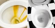 Tajemnica domowego środka na uporczywy kamień z toalety to 2 naturalne składniki