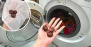 Jesienią do pralki wrzucam 3 kasztany. Oszczędzają mi sporo czasu i pieniędzy