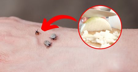 Rozpyl w ogrodzie, a kleszcze będą trzymały się z daleka! Wystarczy 1 produkt z kuchni