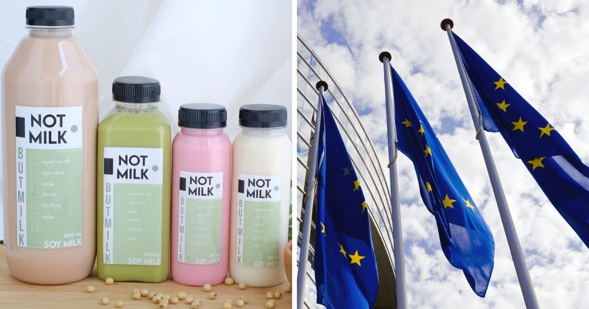 The EU Rejects a Proposal Regarding Vegan Food. The Food Names Were Not Found Misleading