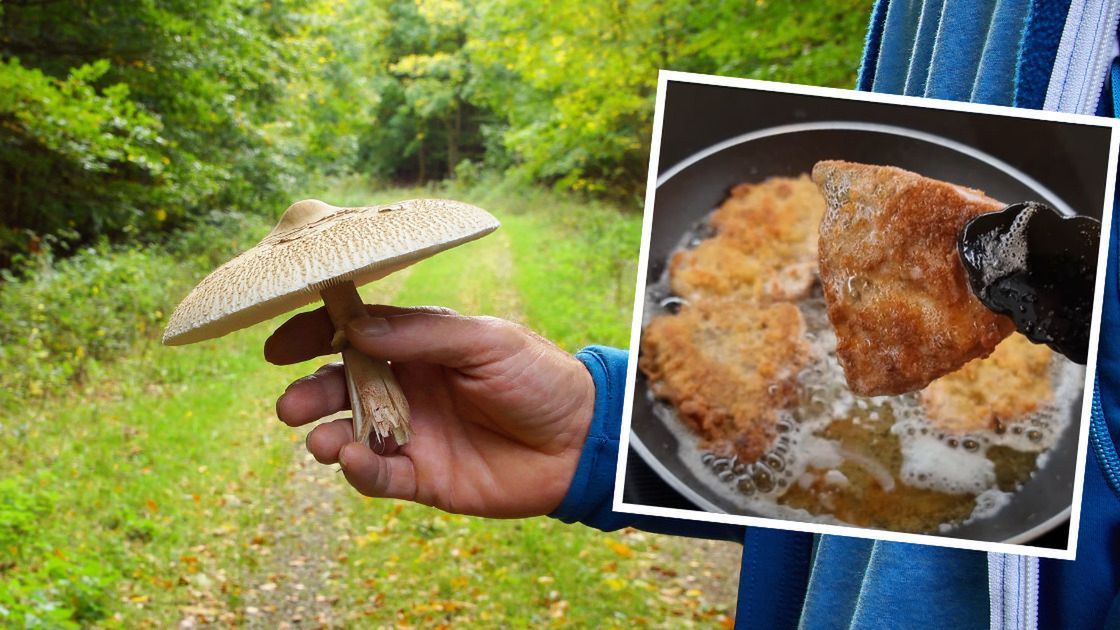 Kotlety z kani- Pyszności