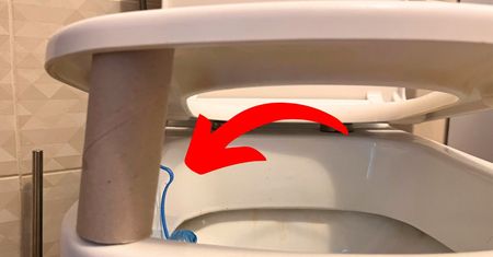 Pusta rolka pod deską sedesową to ważny znak! Nie ignoruj jej, kiedy wchodzisz do WC