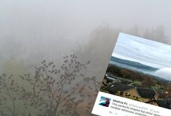 Niezwykłe zjawisko pogodowe. Łąki przykryła ogromna biała "kopuła"