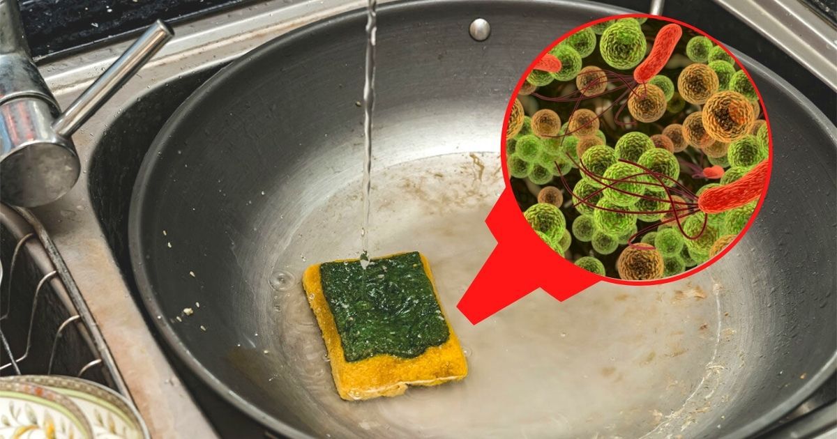 Bacteria Have a Better Hotbed Than the Toilet Seat. And It Is Right Where You Prepare Your Food – in the Kitchen!