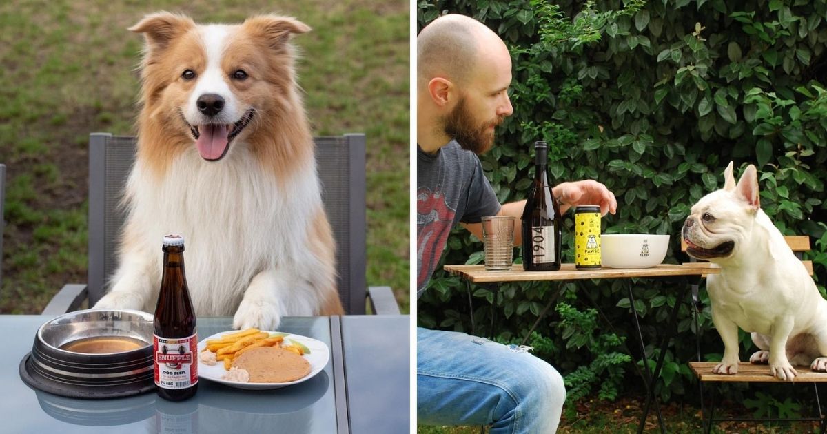 We Włoszech powstało specjalne piwo dla psów. Podobny napój kupisz też w Polsce!