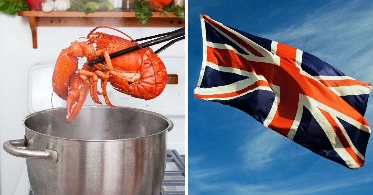 Wielka Brytania chce zakazać gotowania homarów żywcem. Koniec z okrutnym procesem?