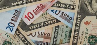 Kursy walut. Rogalski: emocjonalny rollercoaster