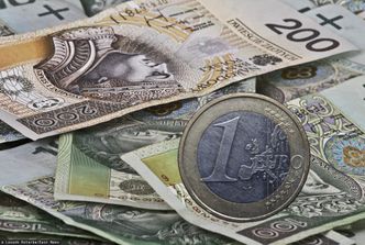 Kursy walut. Złoty słabszy, ale mieści się w widełkach