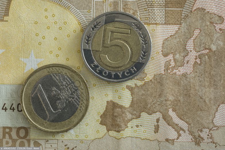 Kursy walut. Co z euro?