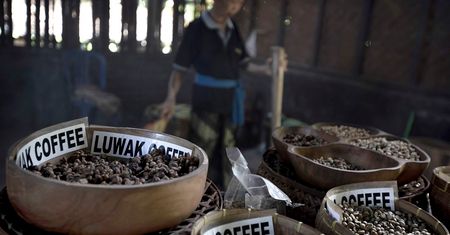 Zwierzęta umierające w klatkach. Prawdziwa cena najdroższej kawy świata