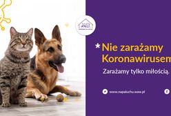 Koronawirus. Schronisko na Paluchu. Adopcje w zmienionym trybie.