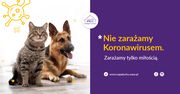 Koronawirus. Schronisko na Paluchu. Adopcje w zmienionym trybie.