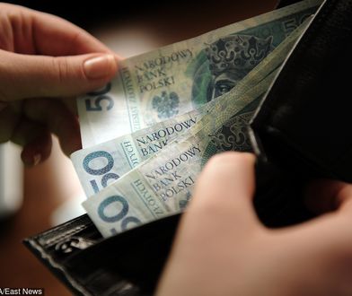 "Zadłużony jak Polak" - to mit. 60 proc. nie miało problemów ze spłatą długów