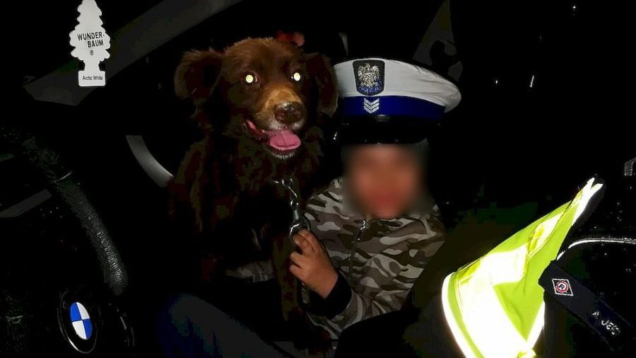 Łuków. Po kilku godzinach chłopczyk odnalazł się cały i zdrowy