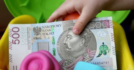 Oszustwo na "500 plus". Fałszywe oferty pomocy przy złożeniu wniosku