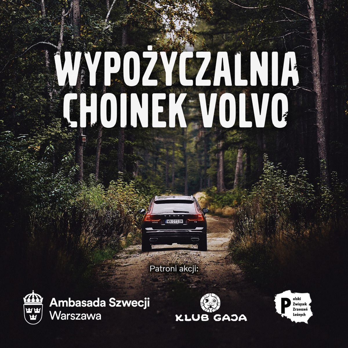 Volvo podsumowuje akcję "Wypożyczalnia Choinek" 