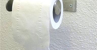 Papier toaletowy prosto z lasu