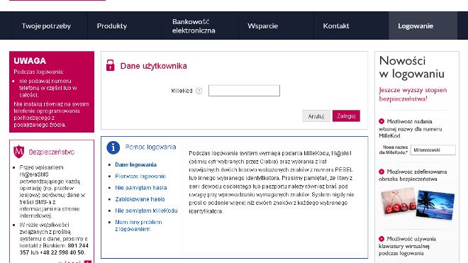 Fałszywa strona logowania